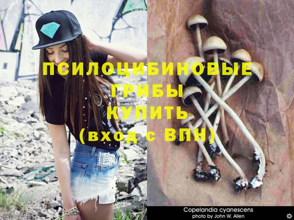 ECSTASY Балахна