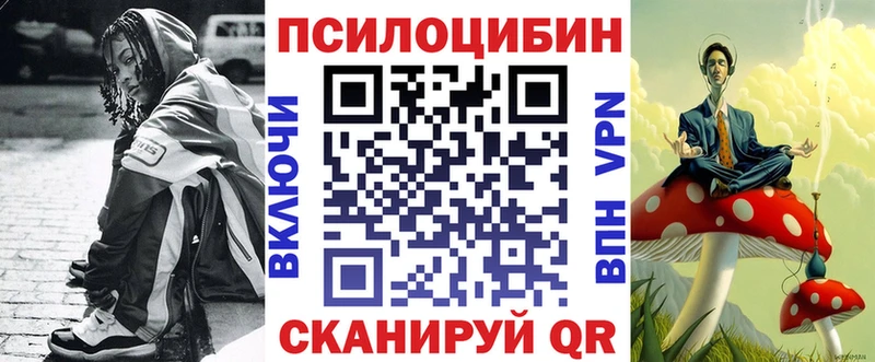 Галлюциногенные грибы Cubensis Курчатов